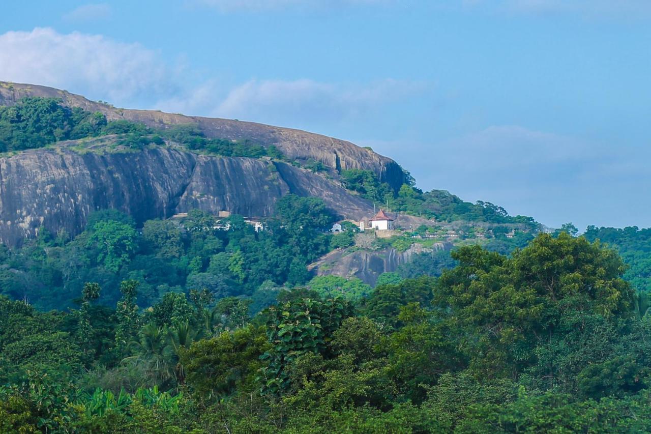 Tropical Life Resort And Spa Dambulla Buitenkant foto