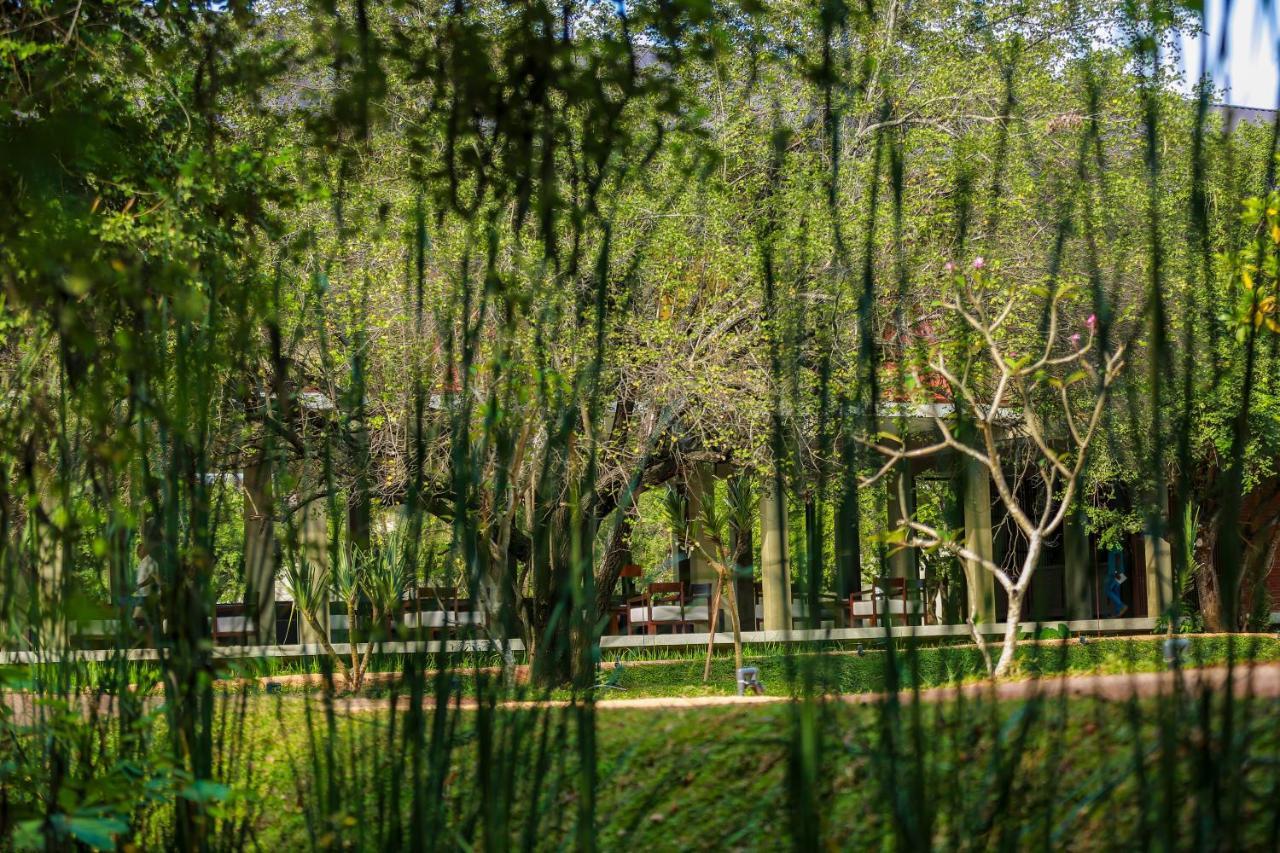 Tropical Life Resort And Spa Dambulla Buitenkant foto